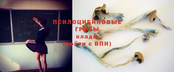 спайс Абаза