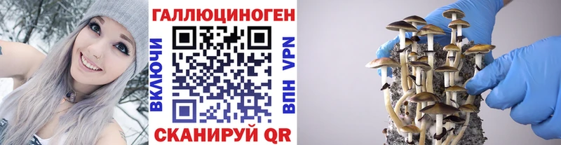 Галлюциногенные грибы мицелий Поворино